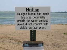 Do Not Swim Sign